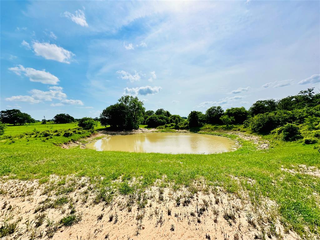 Tbd Cr 429 Property Photo 22