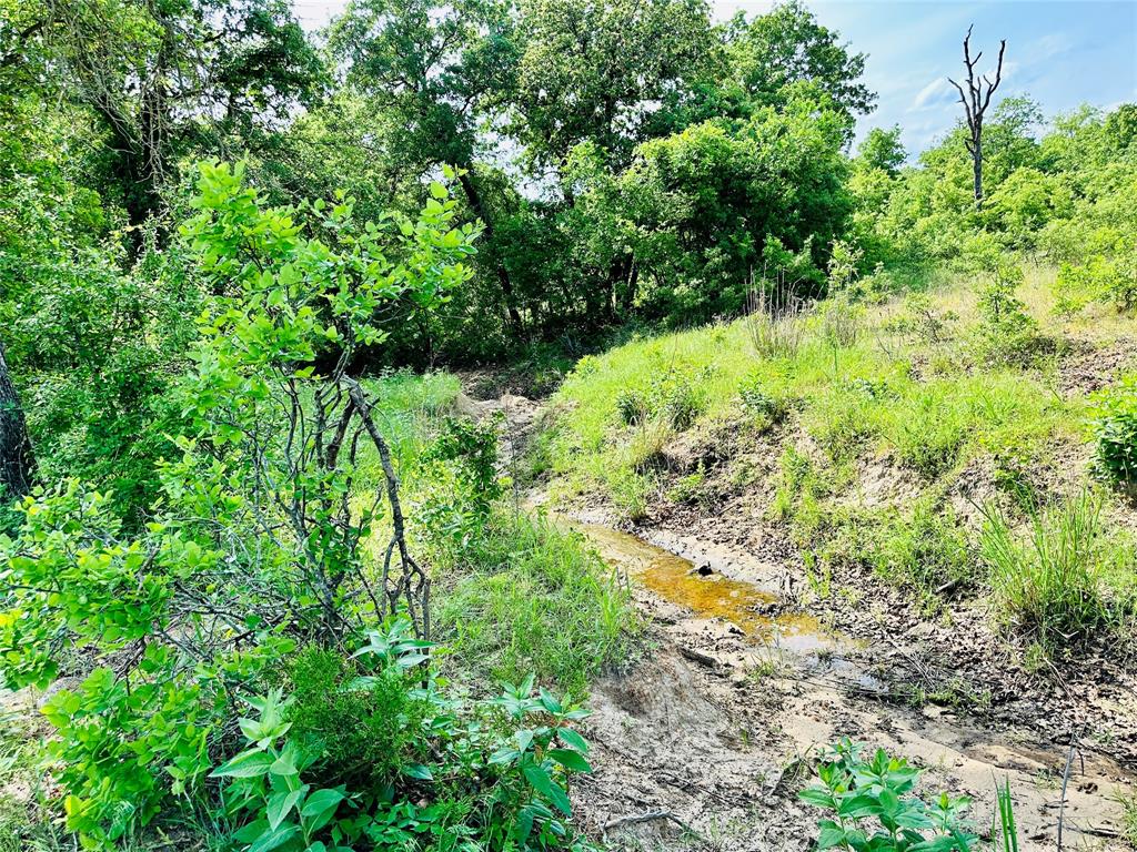 Tbd Cr 429 Property Photo 23