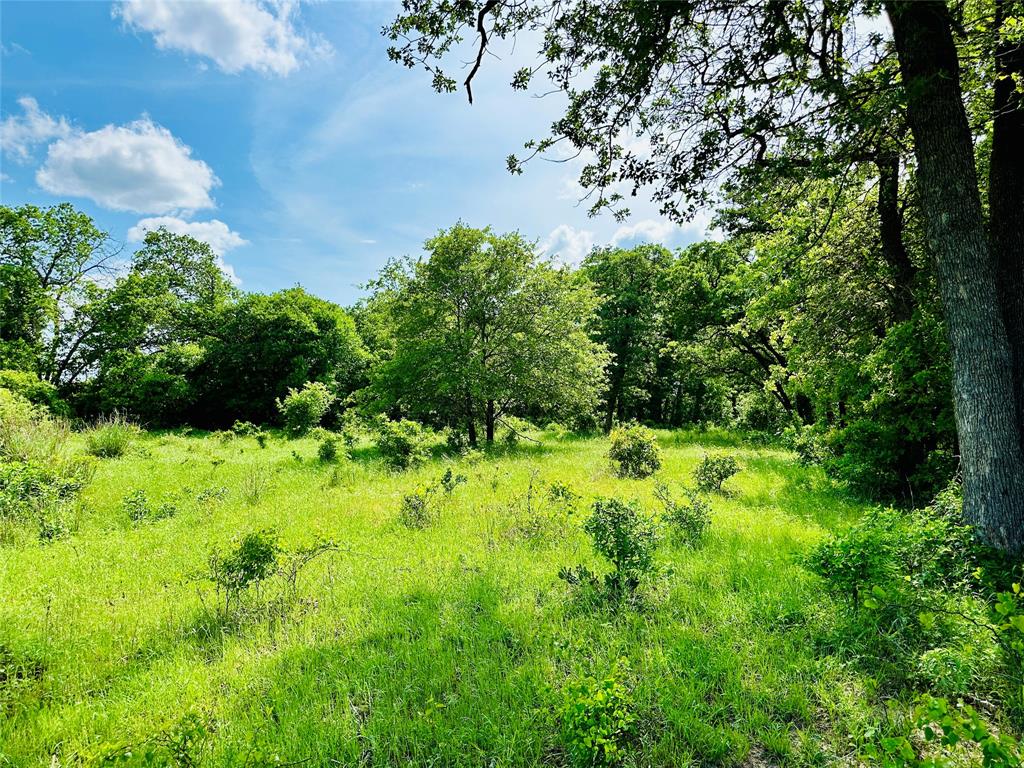 Tbd Cr 429 Property Photo 24