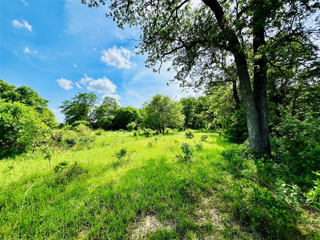Tbd Cr 429 Property Photo 25