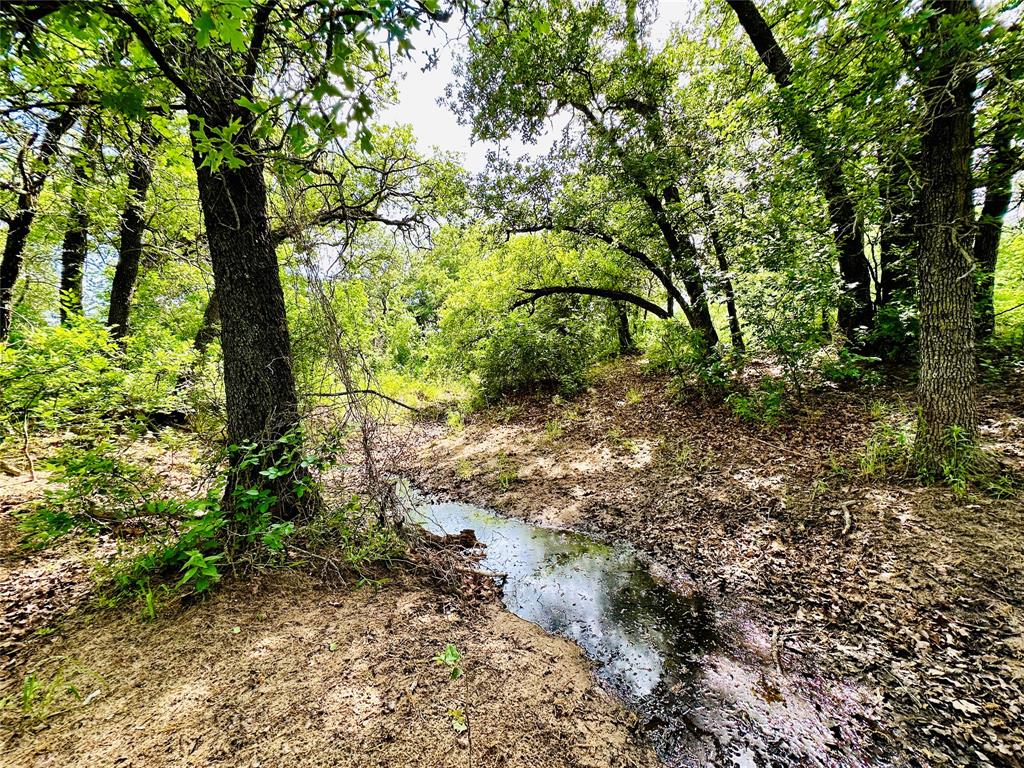Tbd Cr 429 Property Photo 26