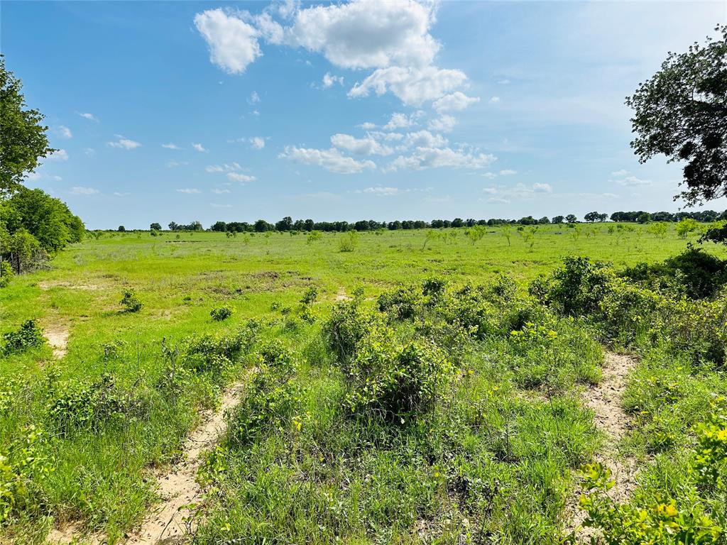 Tbd Cr 429 Property Photo 27