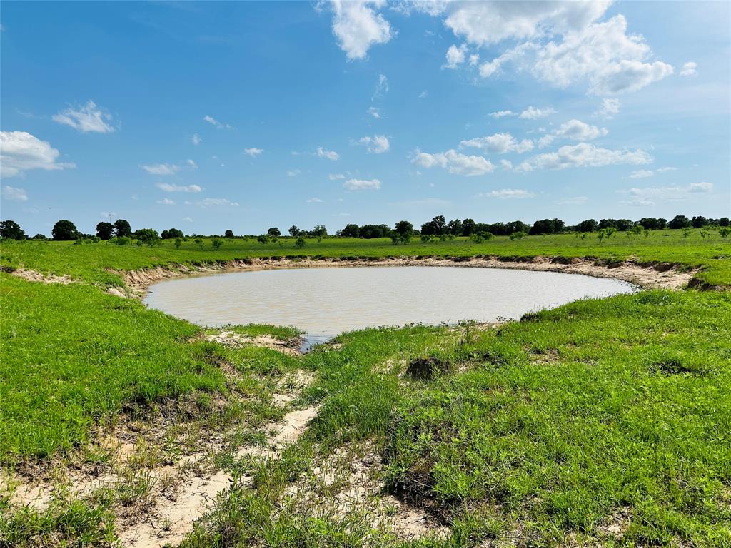 Tbd Cr 429 Property Photo 28