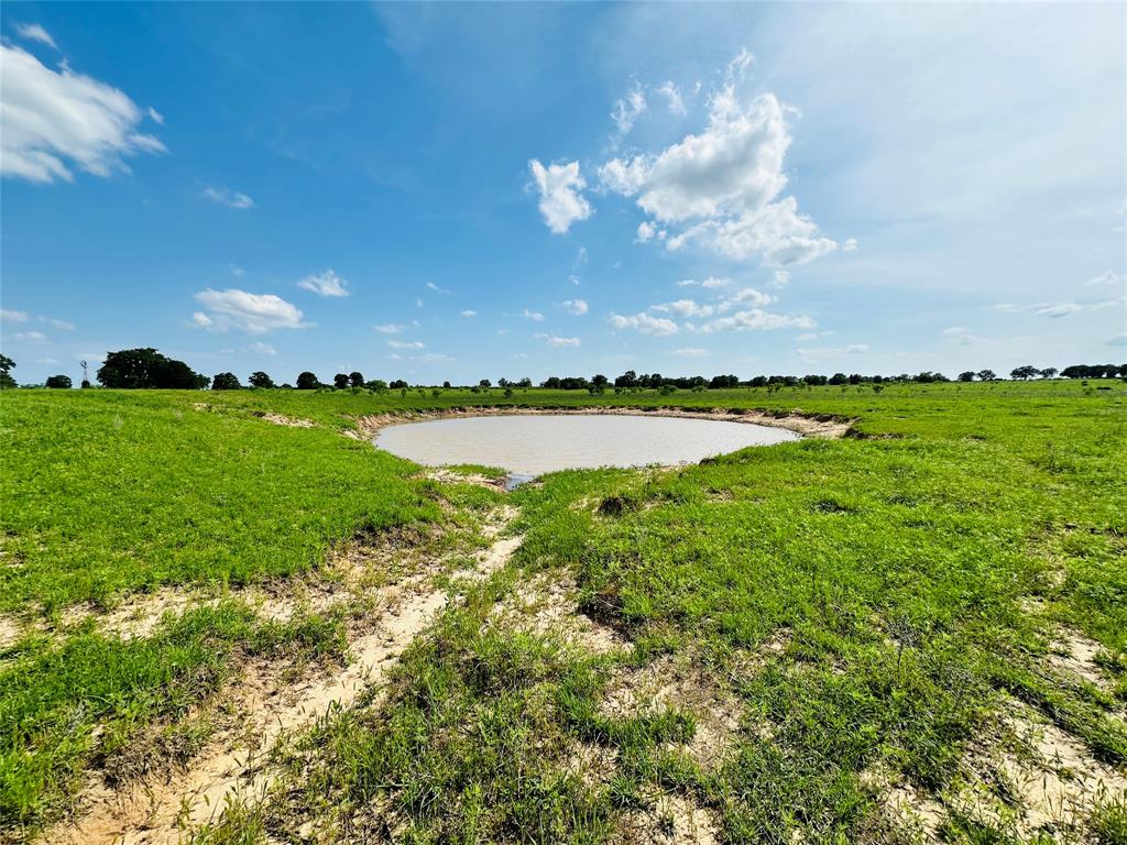 Tbd Cr 429 Property Photo 29
