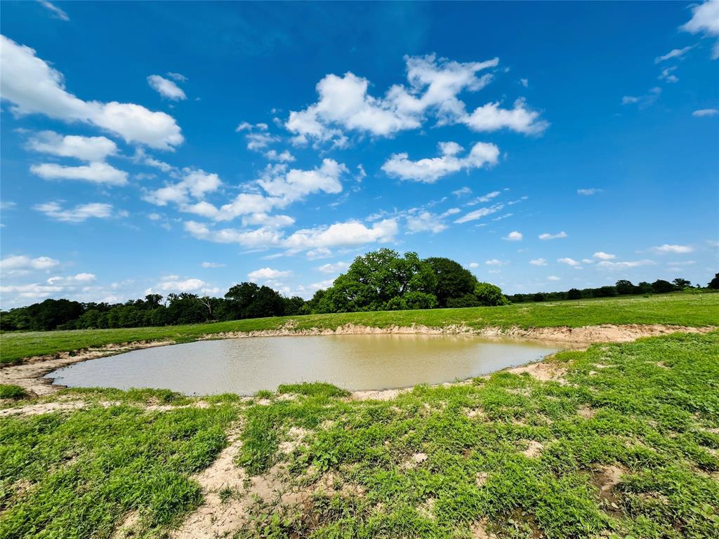 Tbd Cr 429 Property Photo 31