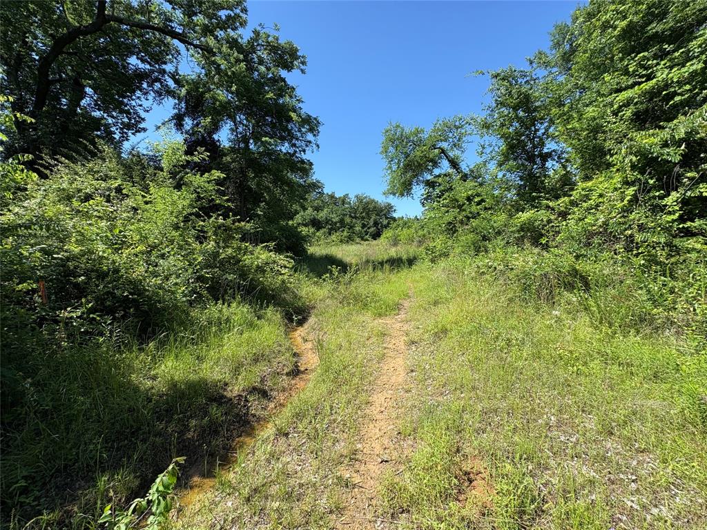 Tbd Fm-3105 Highway Property Photo 1