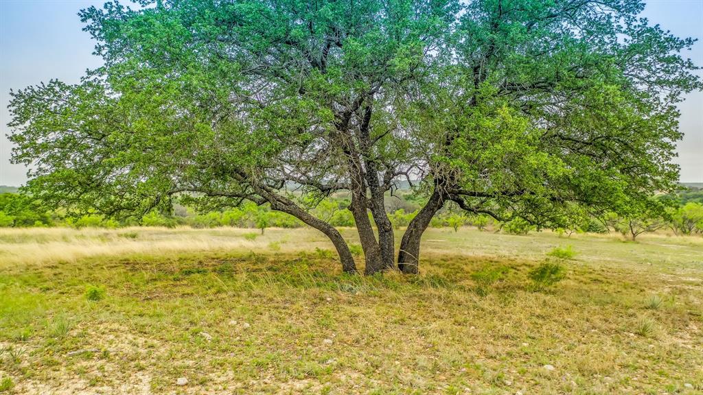 Lot 4 County Road 332 Property Photo