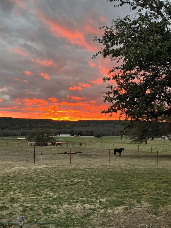 1990 Horsemans Drive Property Photo 6