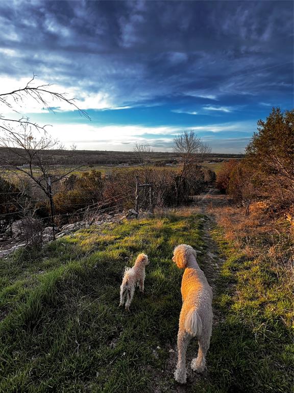 1990 Horsemans Drive Property Photo 13