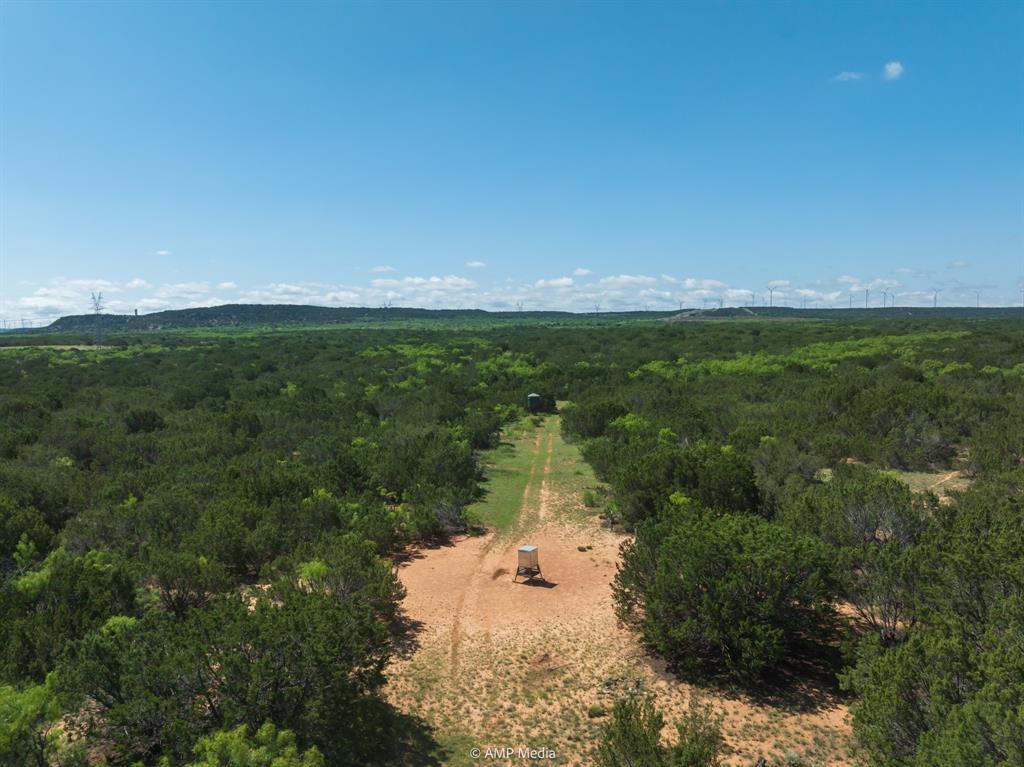 Tbd Fm 2035 Property Photo