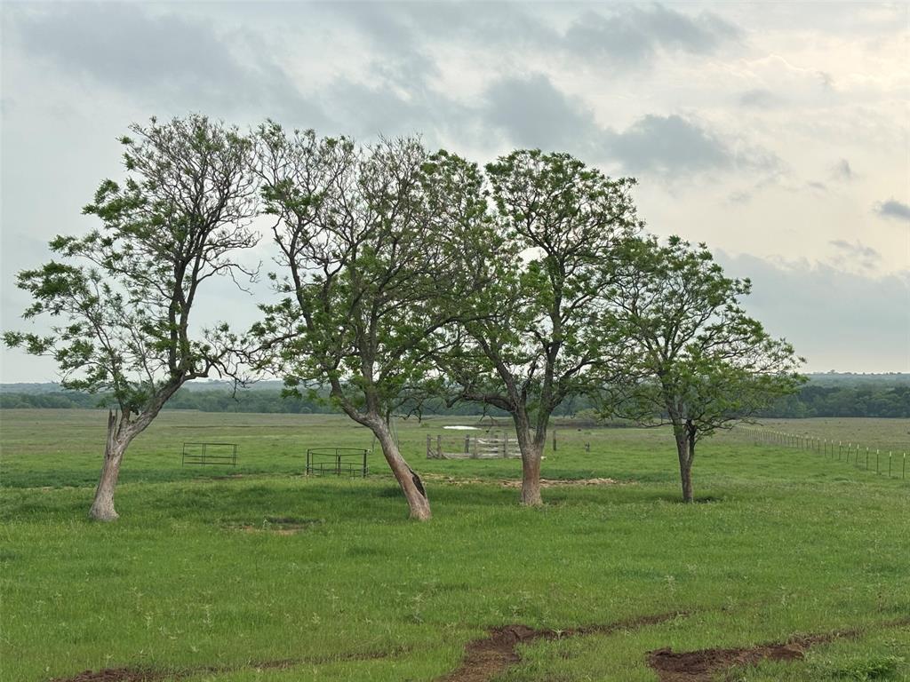 131+/-ac Stine Road Property Photo