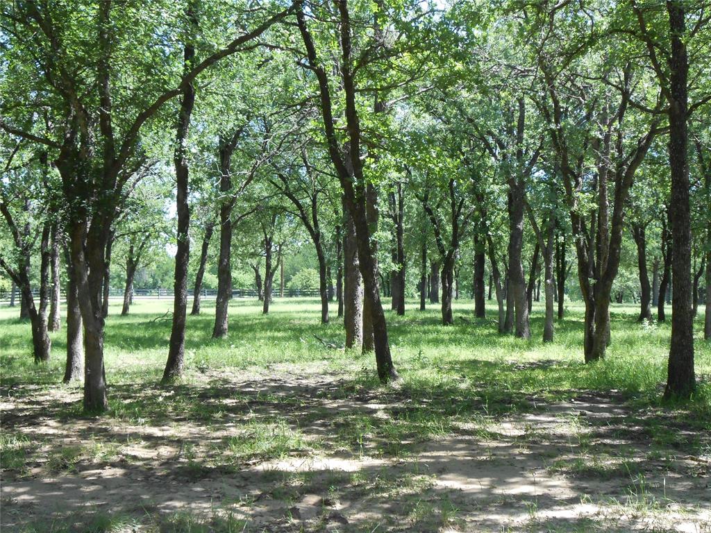 Tbd Cr 1326 Property Photo 2