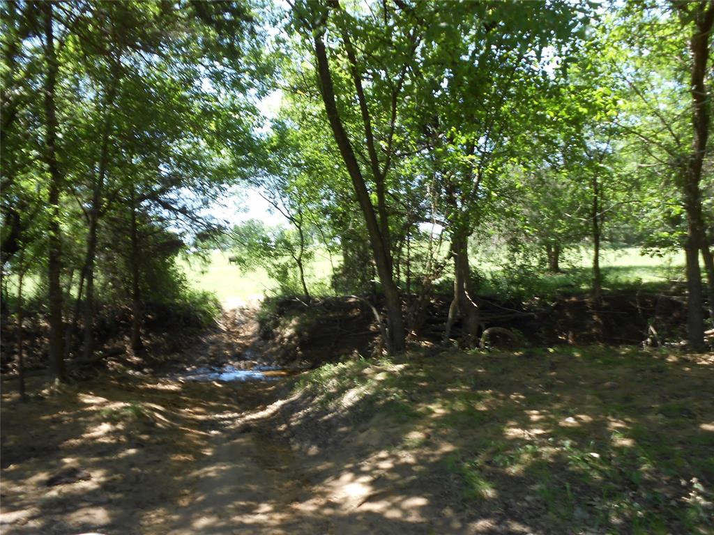 Tbd Cr 1326 Property Photo 10