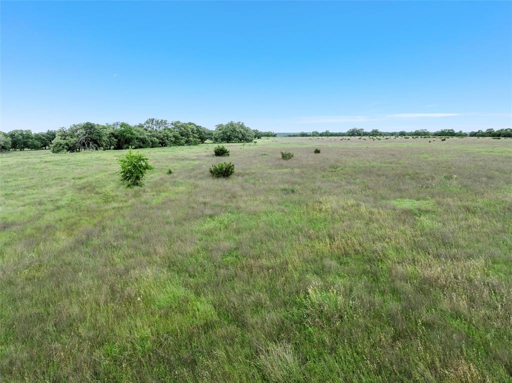 446 Grand Canyon Drive Property Photo 10