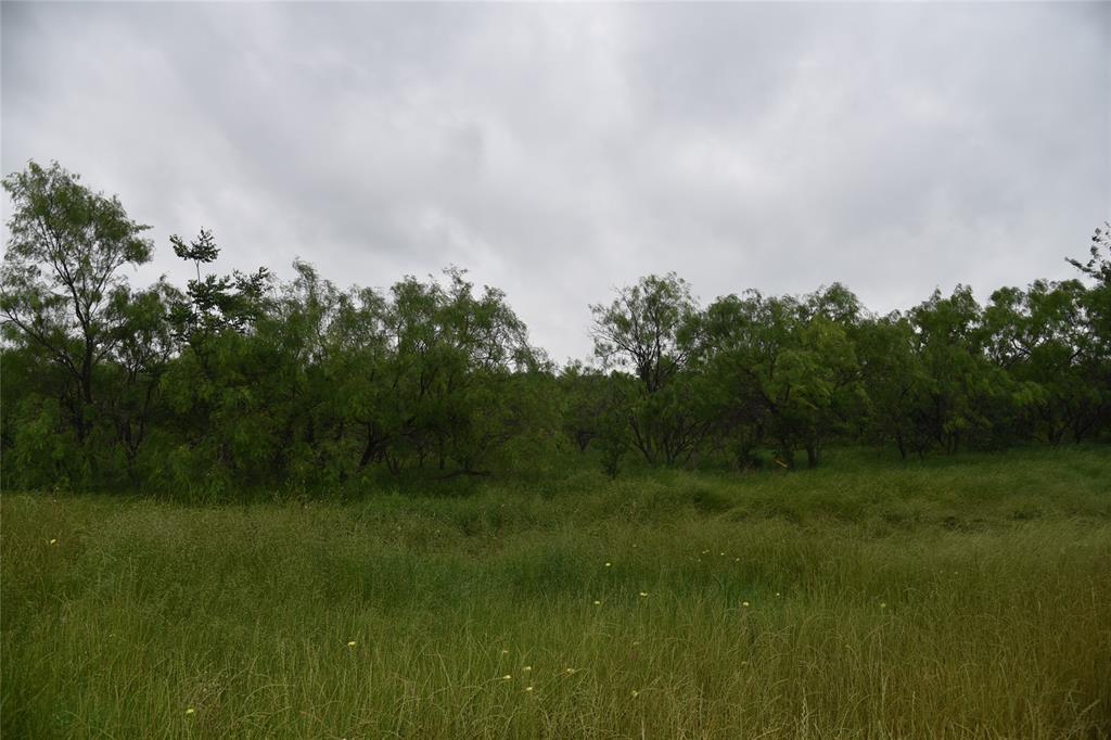 000 Loop TX State Hwy 31 Property Photo 1