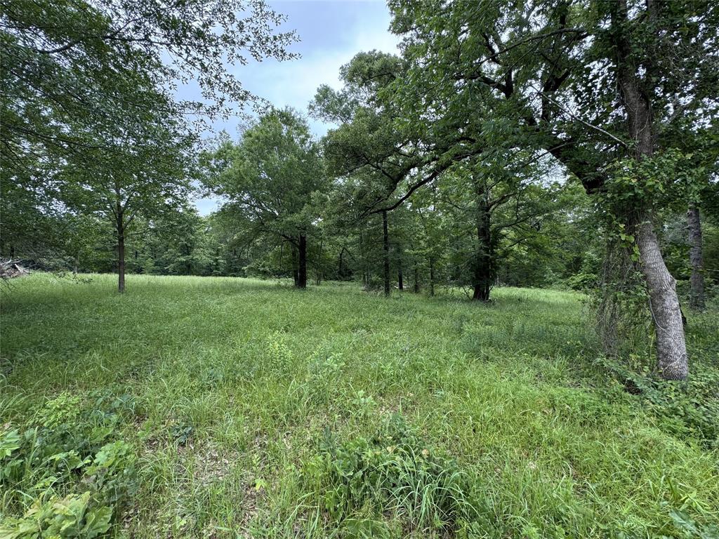 Tbd Rs County Road 3360 Property Photo 1