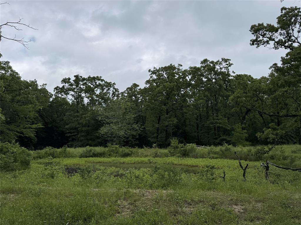 Tbd Rs County Road 3360 Property Photo 2