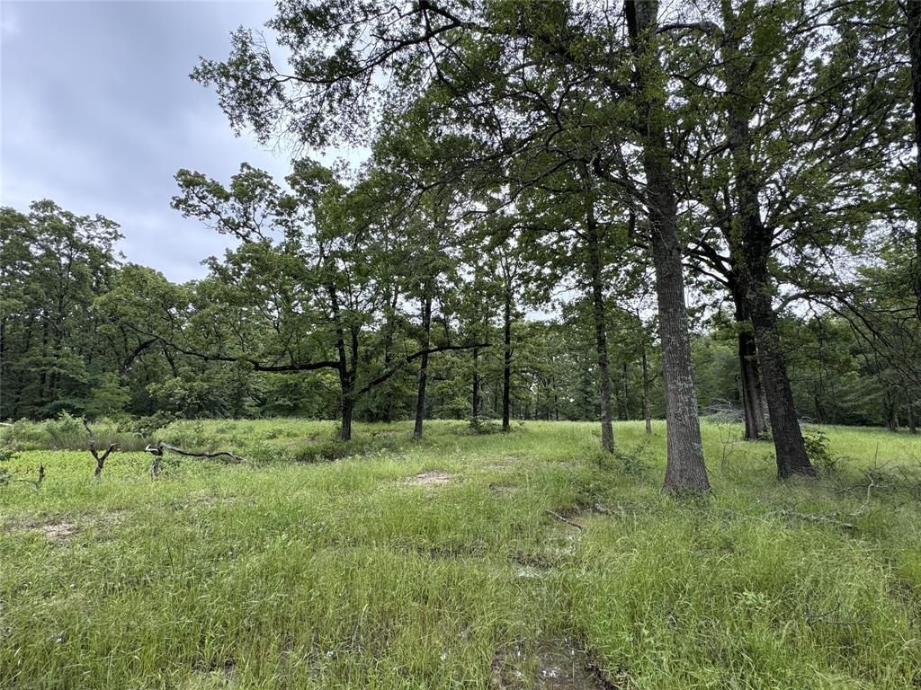 Tbd Rs County Road 3360 Property Photo 3
