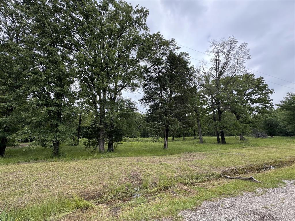 Tbd Rs County Road 3360 Property Photo 4