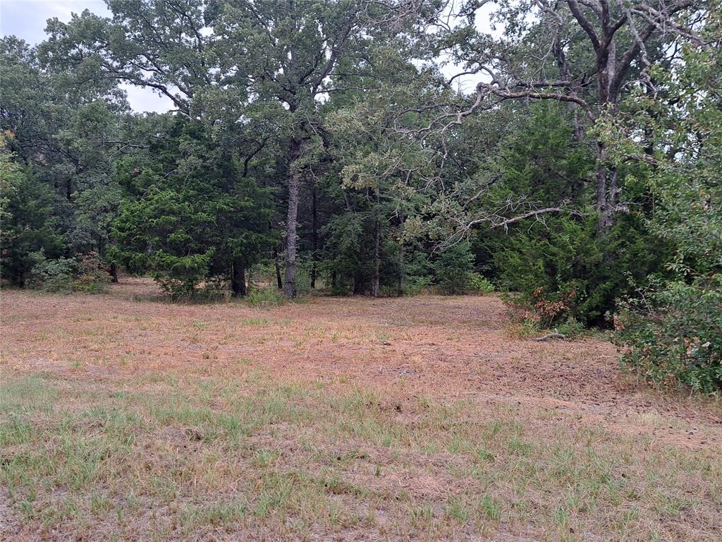 Tbd Rs County Road 3360 Property Photo 5