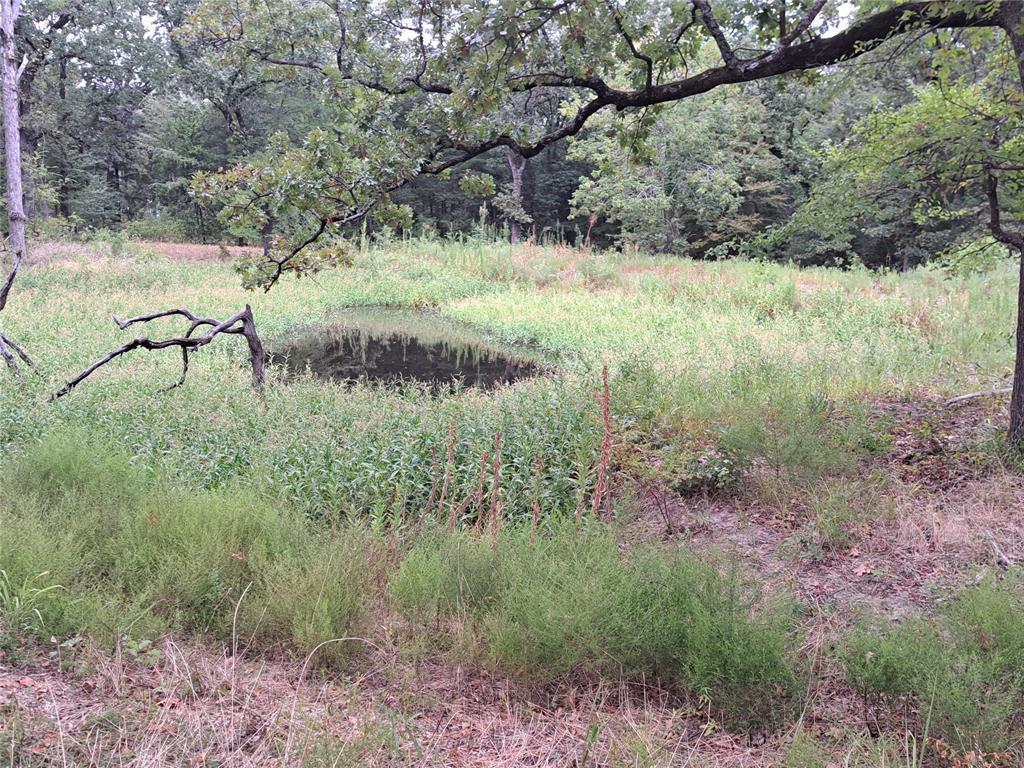 Tbd Rs County Road 3360 Property Photo 7