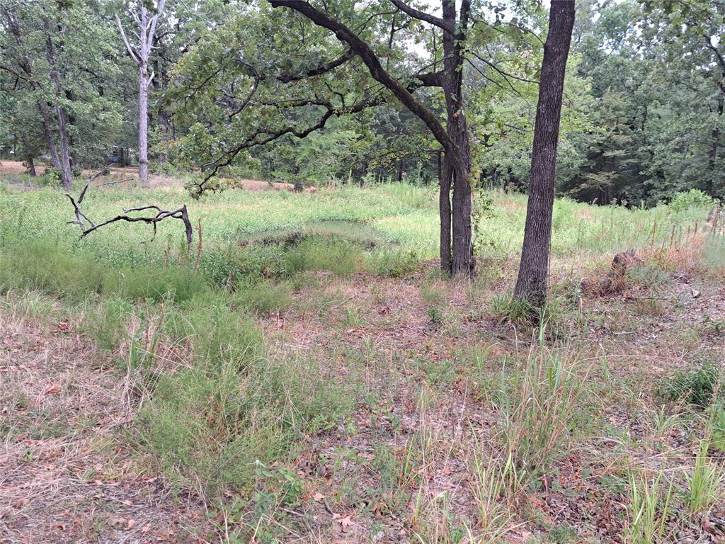 Tbd Rs County Road 3360 Property Photo 8