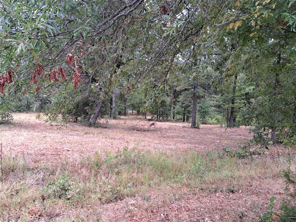 Tbd Rs County Road 3360 Property Photo 9