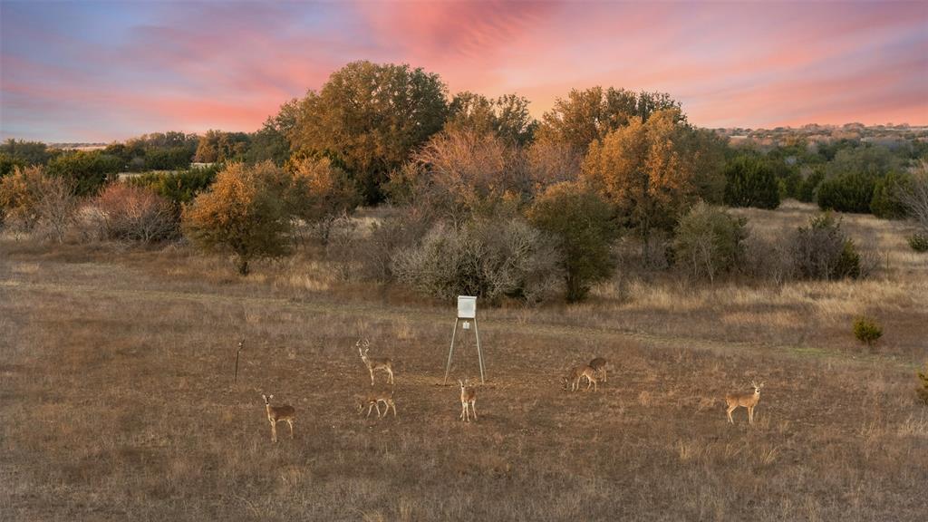 1517 Fm 2490 Property Photo