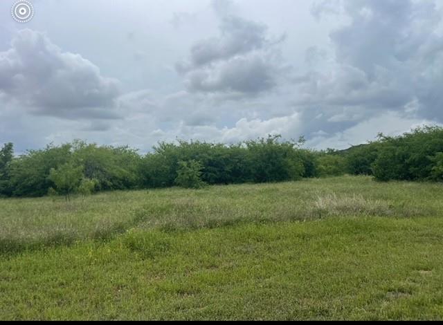 Lot 444 Indigo Bush Court Property Photo