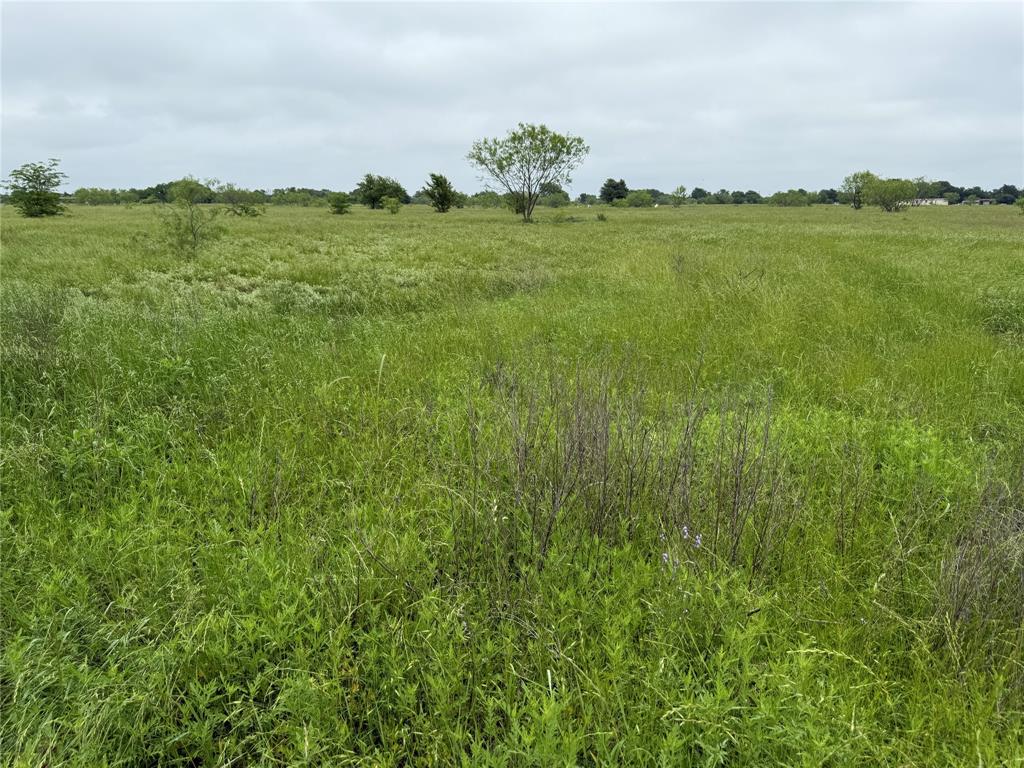 Tbd County Road 3240 Property Photo 3