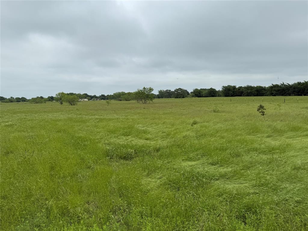Tbd County Road 3240 Property Photo 6