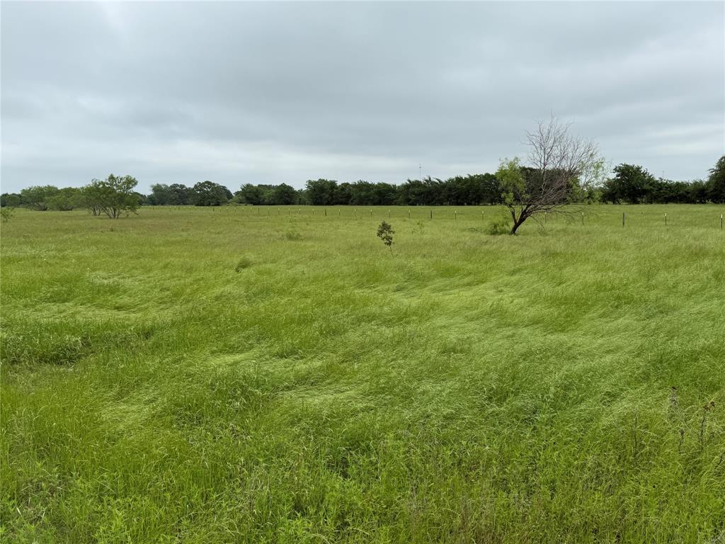 Tbd County Road 3240 Property Photo 7