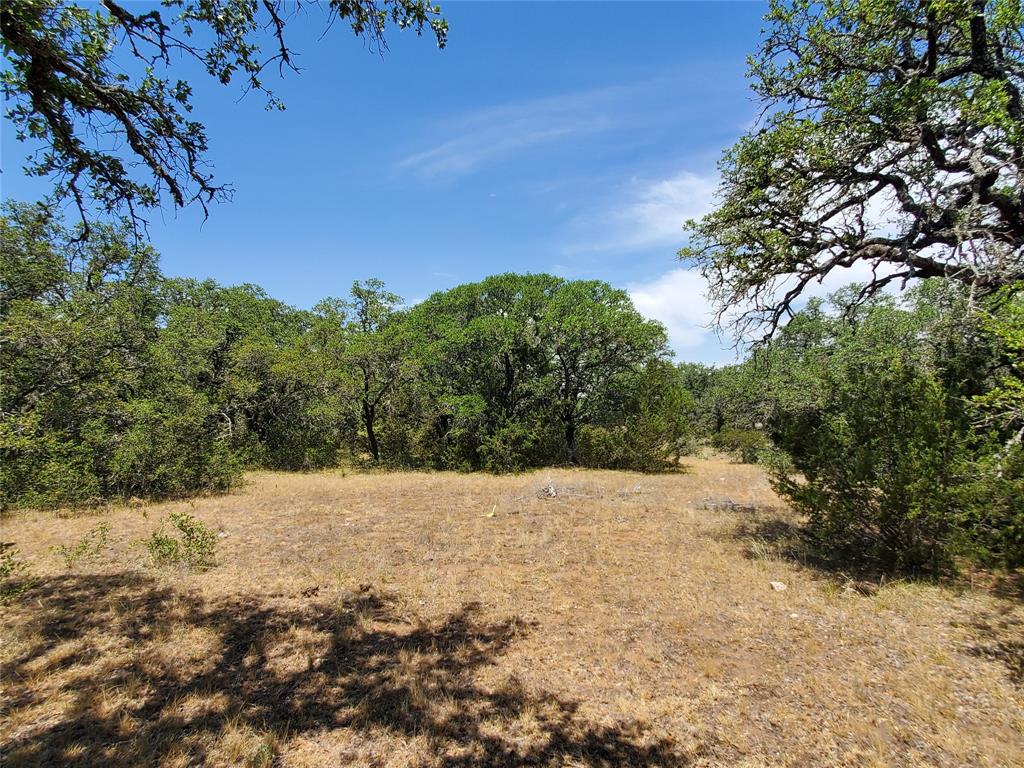 8801 Fm 45 Property Photo 23