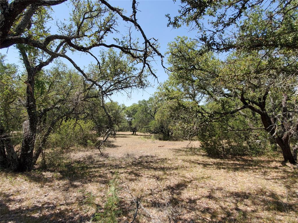 8801 Fm 45 Property Photo 26