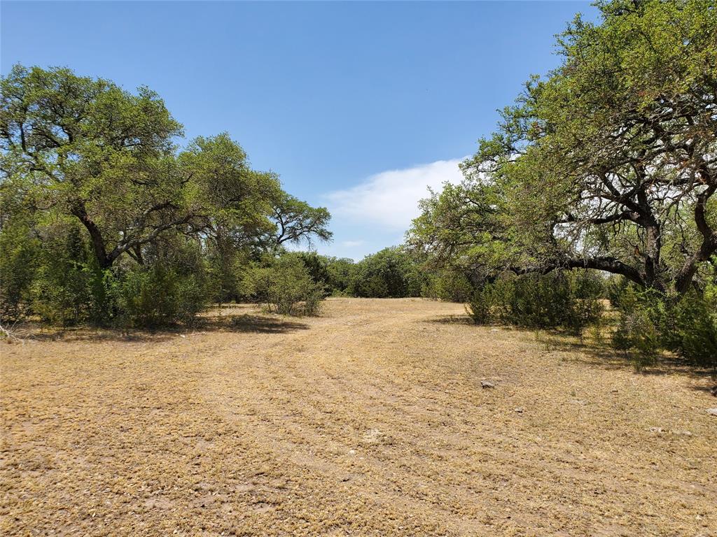 8801 Fm 45 Property Photo 33