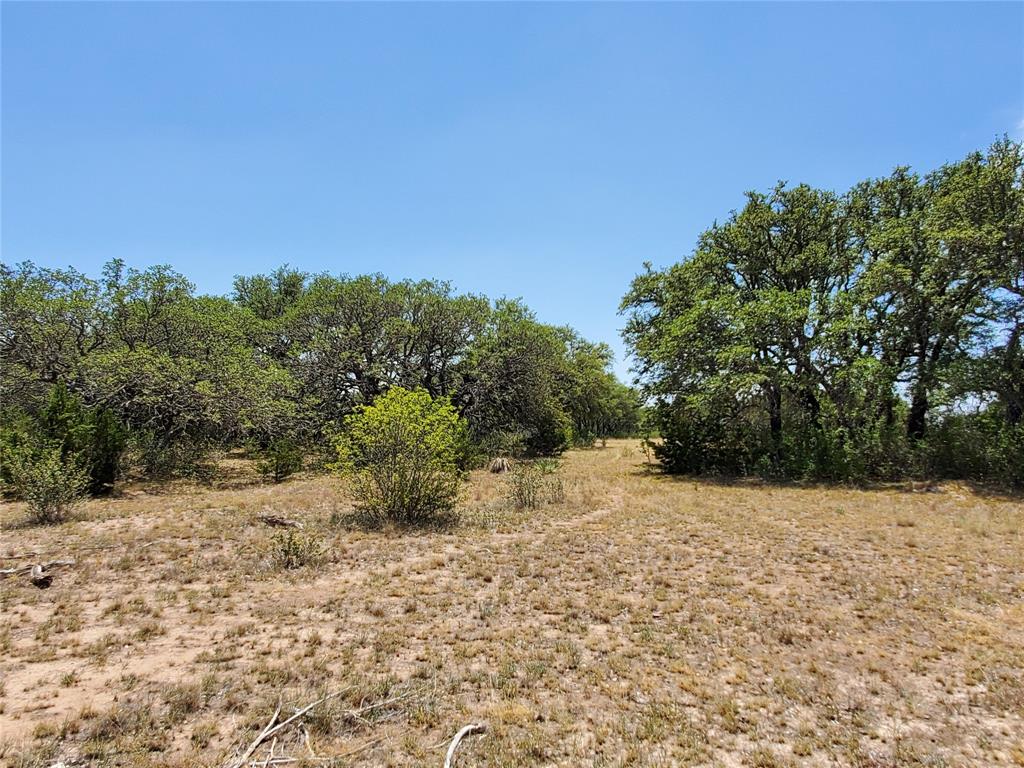 8801 Fm 45 Property Photo 39