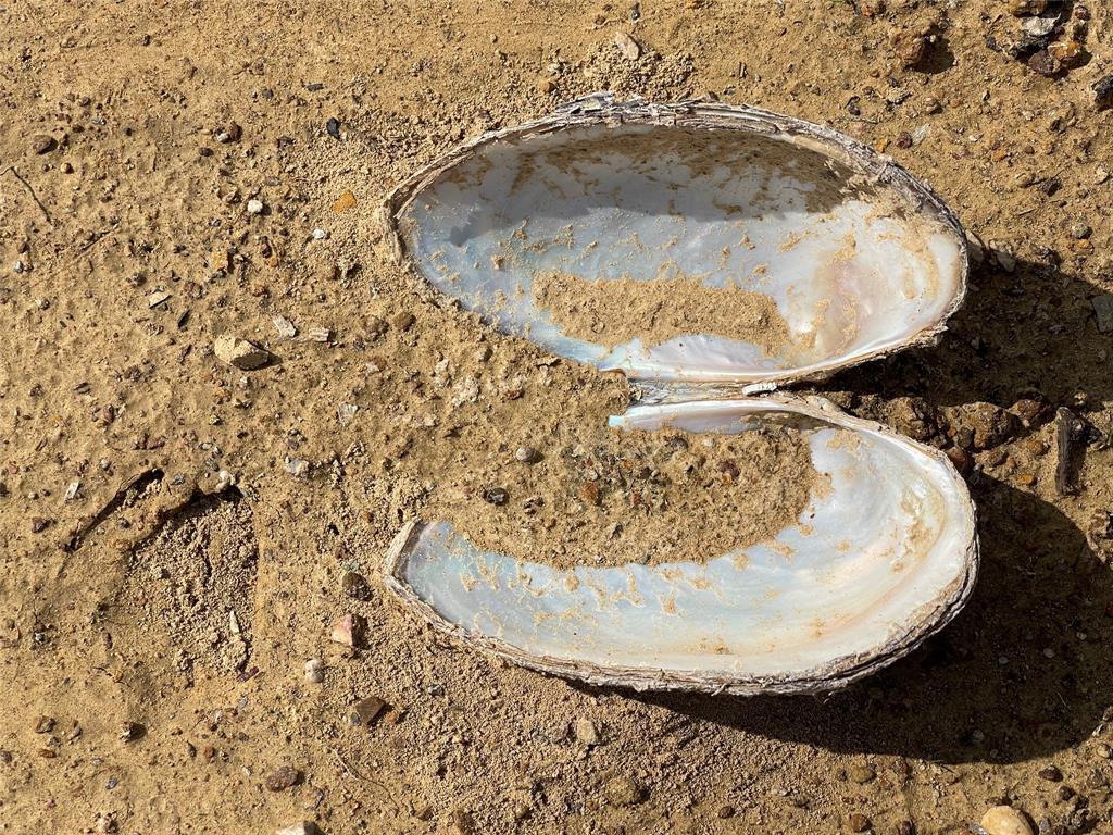 371 Hidden Shores Drive Property Photo 14