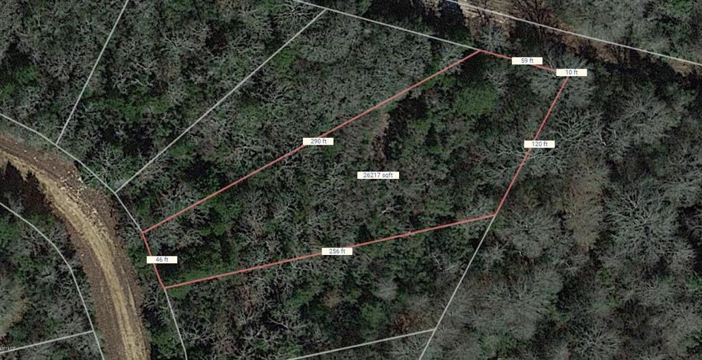 Lot 47 Austin Colony Drive Property Photo