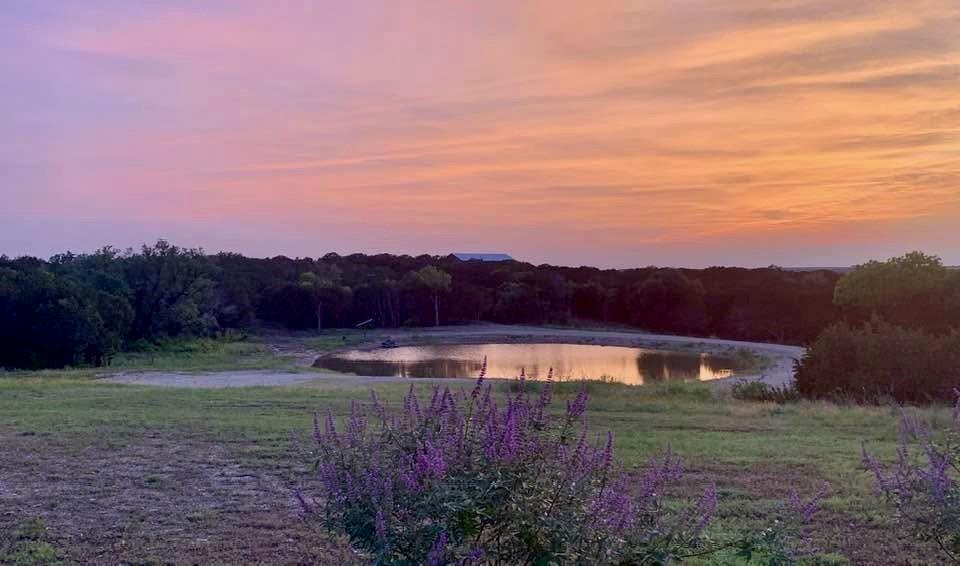 5553 Ruff Country Court