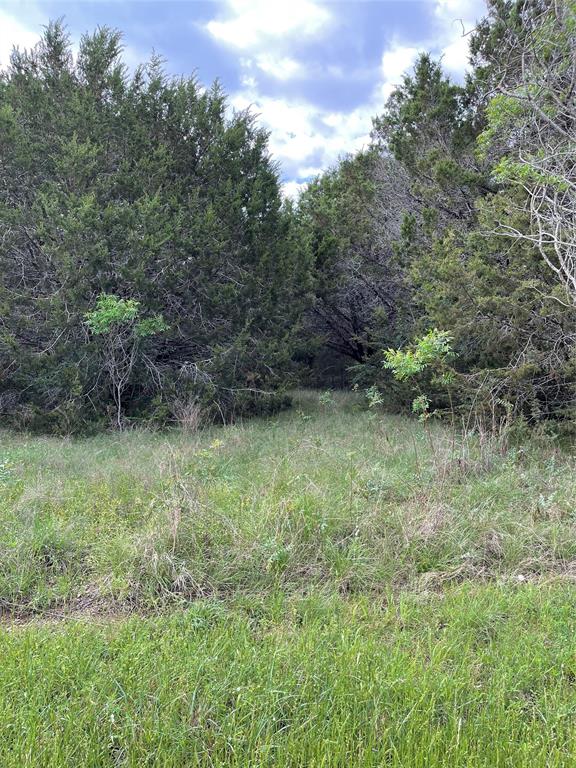 43208 Fringewood Drive Property Photo 1