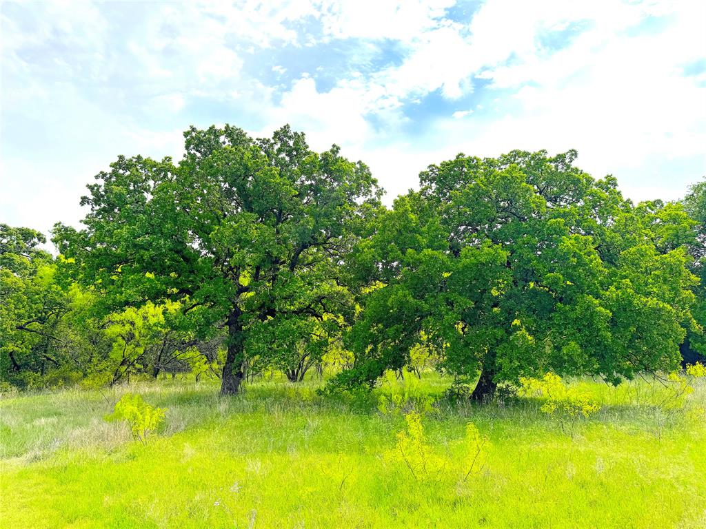 Tbd Powell Road Property Photo