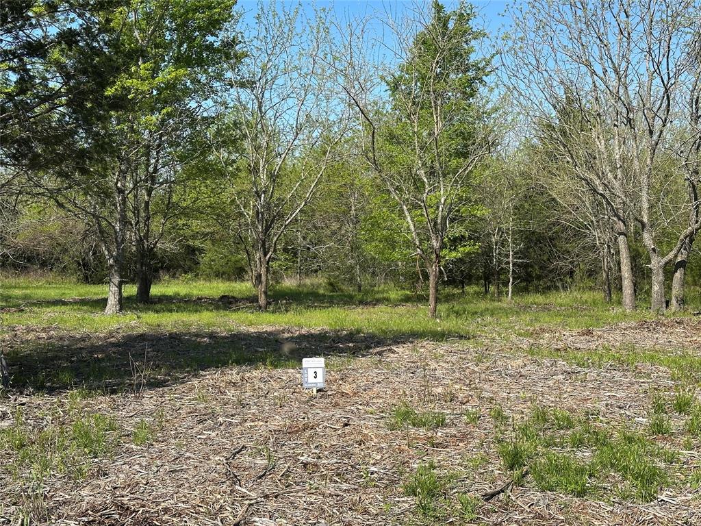Tract 3 Farm to Market 1743 Property Photo 1