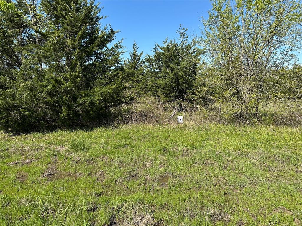 Tract 4 Farm to Market 1743 Property Photo 1