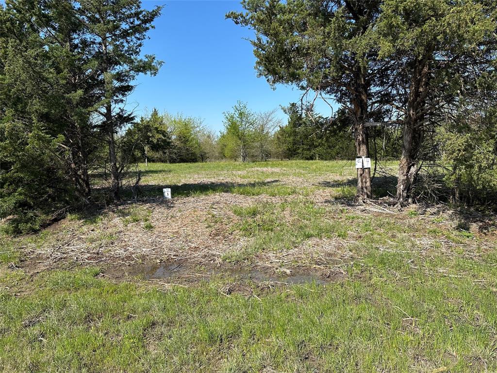 Tract 5 Farm to Market 1743 Property Photo 1