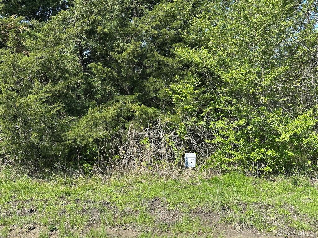 Tract 6 Farm To Market 1743 Property Photo 1
