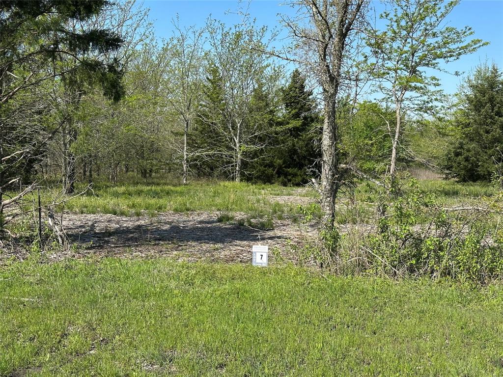 Tract 7 Farm To Market 1743 Property Photo 1
