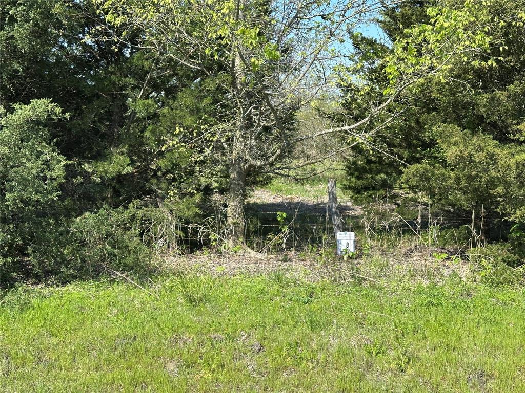 Tract 8 Farm To Market 1743 Property Photo 1