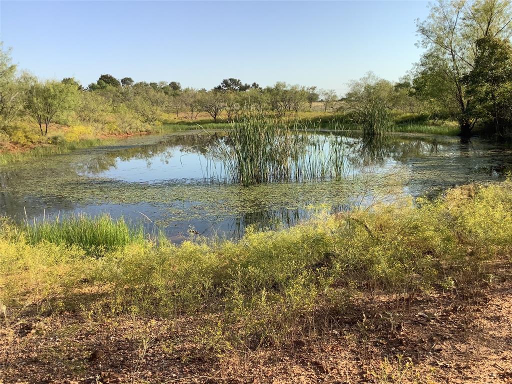 3402 Highway 569 Property Photo