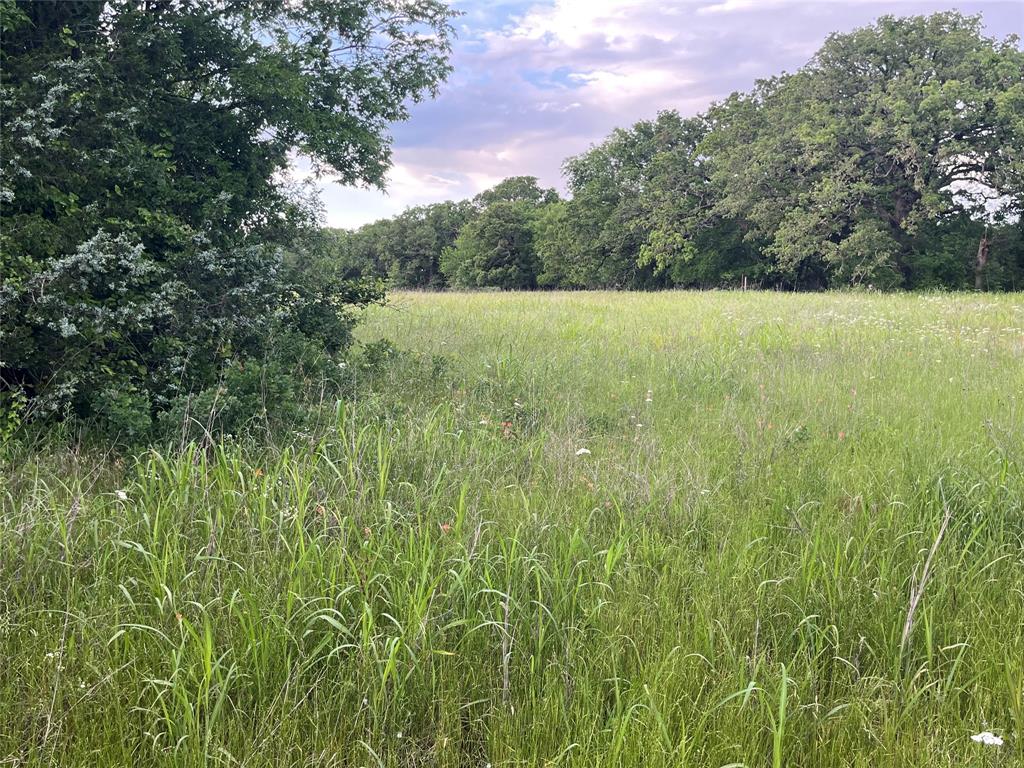 Tract 1 Fm 3043 Property Photo