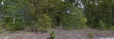 117 Running Deer Road Property Photo 3